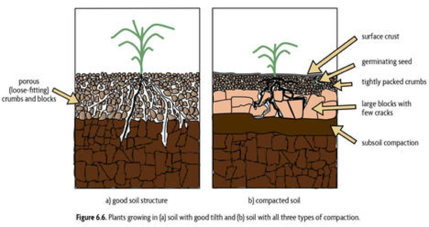 Compost, Aggregates & Pots - Root One